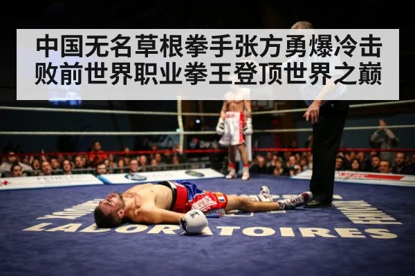 boxing match knockout